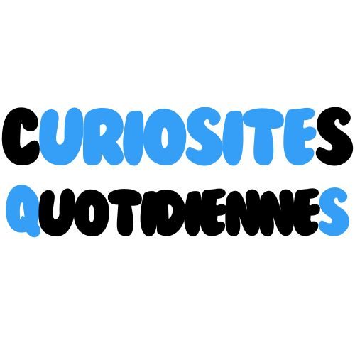curiosités quotidiennes